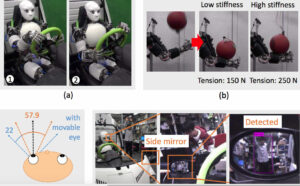 Musashi robot autista: controllo di rigidezza variabile utilizzando le unità elastiche non lineari nelle braccia, campo visivo dell'unità oculare mobile, rilevamento ostacoli