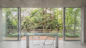 Vista alberi giardino da interni Reciprocal House - Gianni Botsford Architects