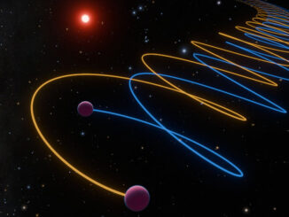 Sistema binario di Gliese 229 (grafica)