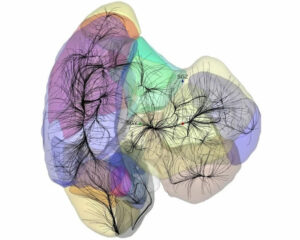 Visualizzazione bacini di attrazione cosmici